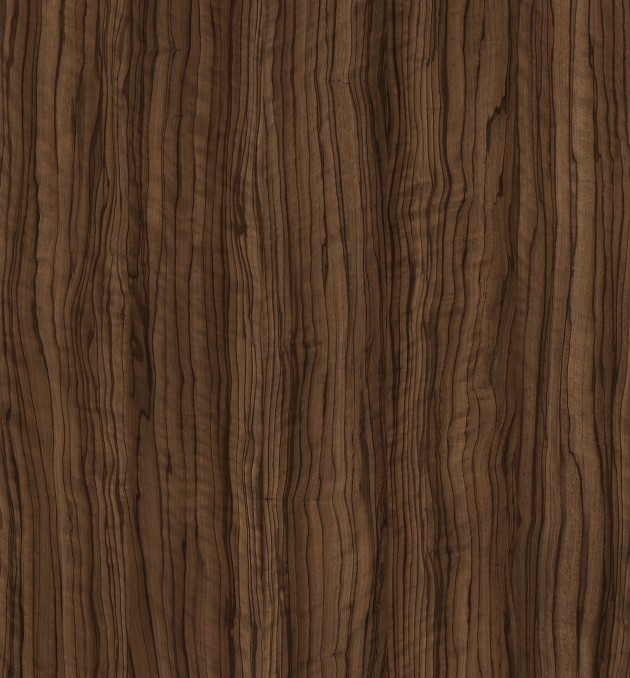 463 - SEVILLA OLIVE